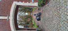 afbeelding van Sten Dockx