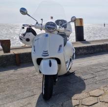 afbeelding van Veronica Verbert